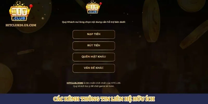 Các kênh thông tin liên hệ hữu ích 